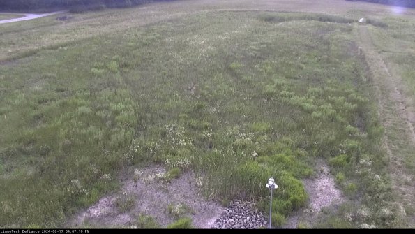 Cell 1_24-06-17_16-07-11-32