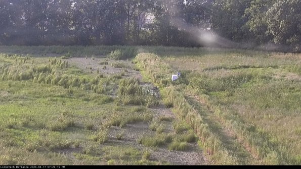 Cell 3 to 4_24-06-17_19-29-16-32