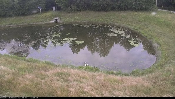 Basin Right_24-06-19_11-42-21-33