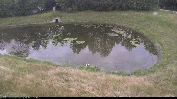 Basin Right_24-06-19_12-15-49-35