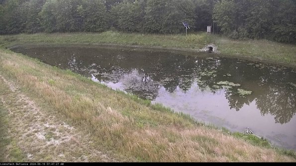 Basin_24-06-19_07-47-28-43