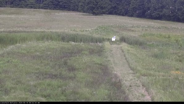 Cell 1 to 2_24-06-19_08-52-34-36