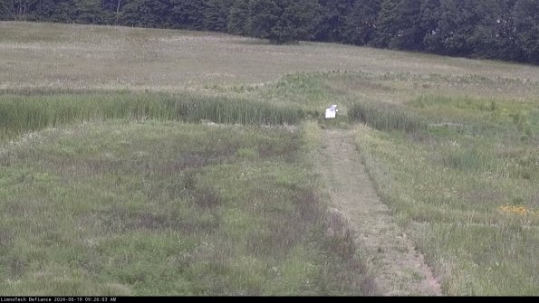 Cell 1 to 2_24-06-19_09-26-04-35