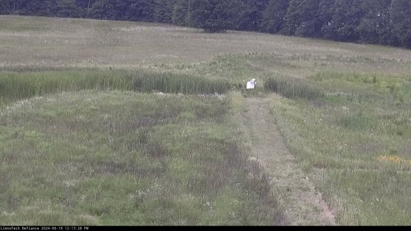 Cell 1 to 2_24-06-19_12-13-29-34