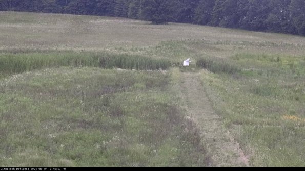 Cell 1 to 2_24-06-19_12-46-58-35