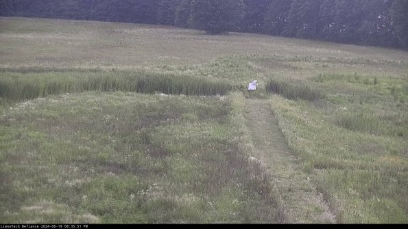 Cell 1 to 2_24-06-19_20-35-52-35