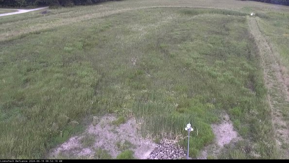 Cell 1_24-06-19_08-52-20-35