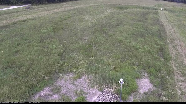 Cell 1_24-06-19_09-25-50-33