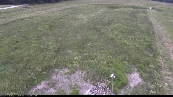 Cell 1_24-06-19_12-13-15-32