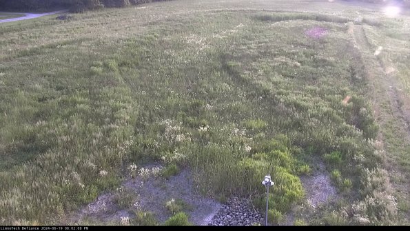 Cell 1_24-06-19_20-02-09-35