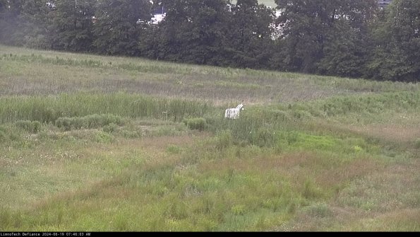 Cell 2 to 3_24-06-19_07-46-04-38