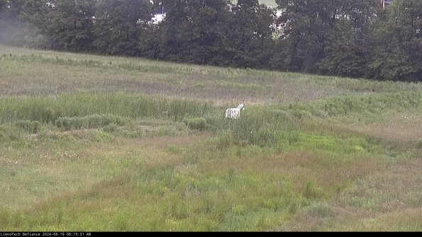 Cell 2 to 3_24-06-19_08-19-32-47