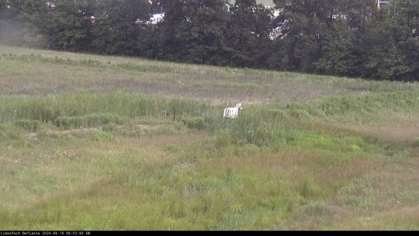 Cell 2 to 3_24-06-19_08-53-00-55