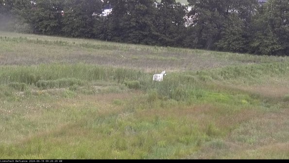 Cell 2 to 3_24-06-19_09-26-30-37