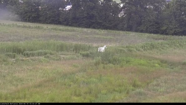 Cell 2 to 3_24-06-19_10-33-28-35