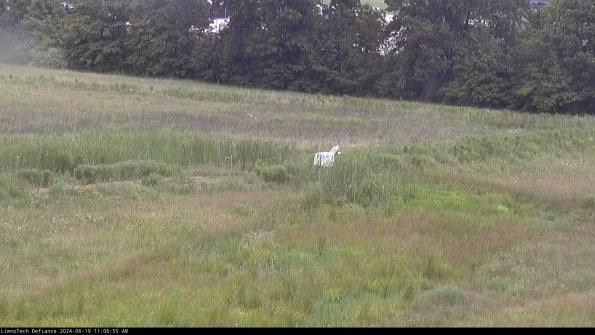 Cell 2 to 3_24-06-19_11-06-56-36