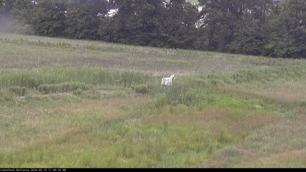 Cell 2 to 3_24-06-19_11-40-25-51