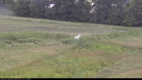 Cell 2 to 3_24-06-19_12-13-55-40