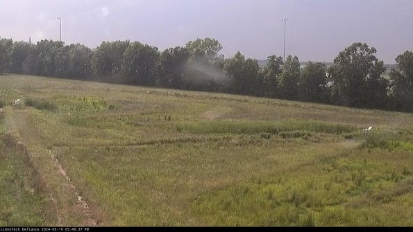 Cell 2_24-06-19_17-48-38-41