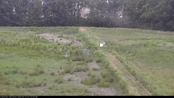 Cell 3 to 4_24-06-19_07-13-03-32