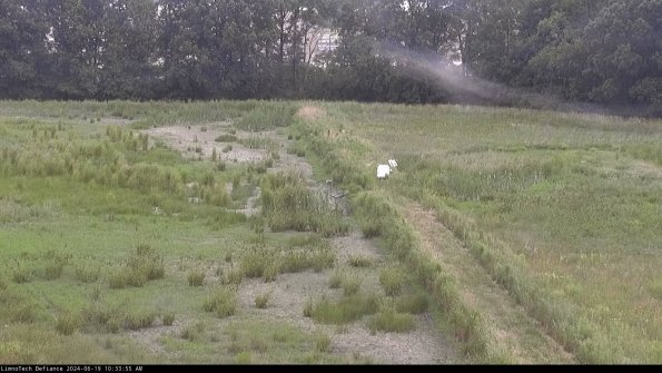 Cell 3 to 4_24-06-19_10-33-56-34