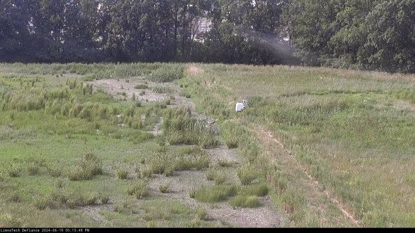 Cell 3 to 4_24-06-19_17-15-50-34