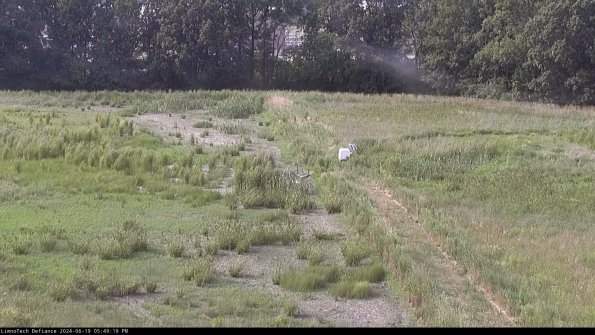 Cell 3 to 4_24-06-19_17-49-20-35