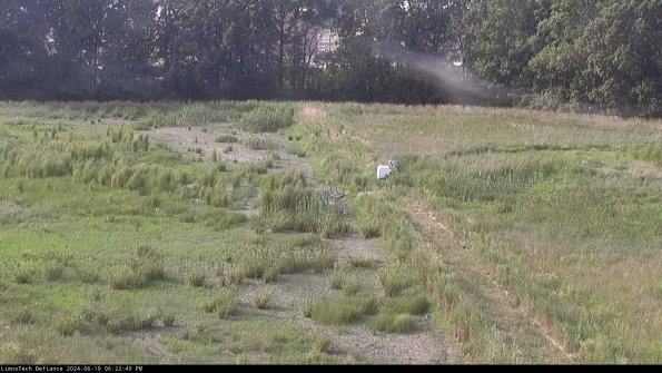 Cell 3 to 4_24-06-19_18-22-50-34