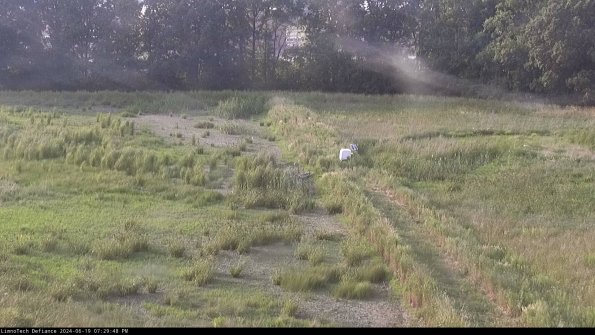 Cell 3 to 4_24-06-19_19-29-49-34