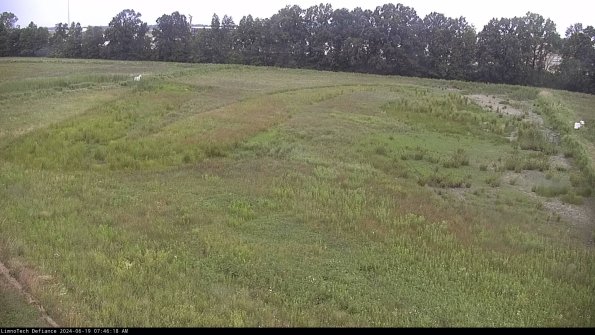 Cell 3_24-06-19_07-46-18-56