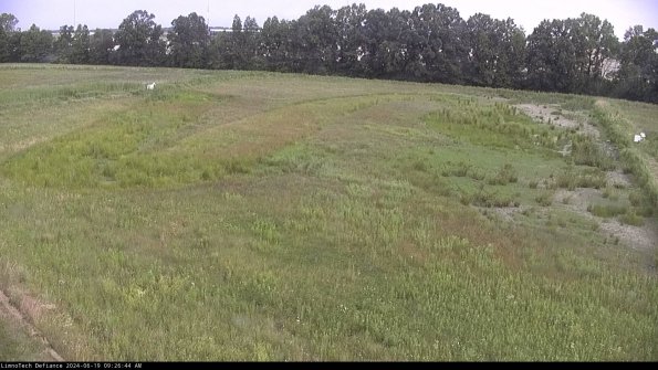 Cell 3_24-06-19_09-26-44-59