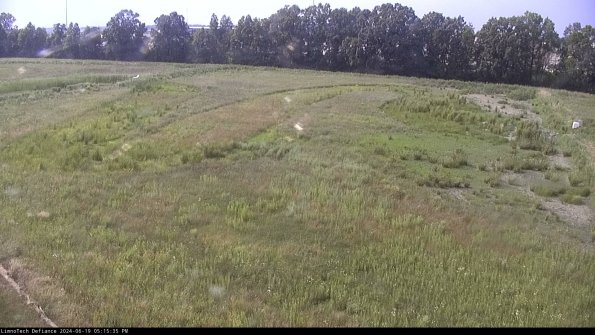 Cell 3_24-06-19_17-15-36-35