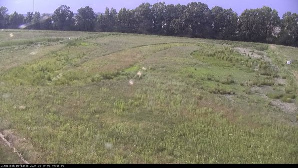 Cell 3_24-06-19_17-49-06-34