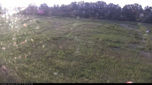 Cell 3_24-06-19_20-03-04-34