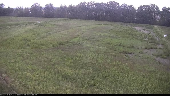 Cell 3_24-06-19_20-36-33-36