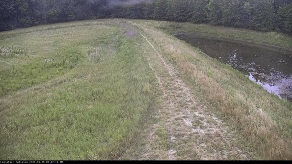 Cell 4 to Basin_24-06-19_07-47-16-32