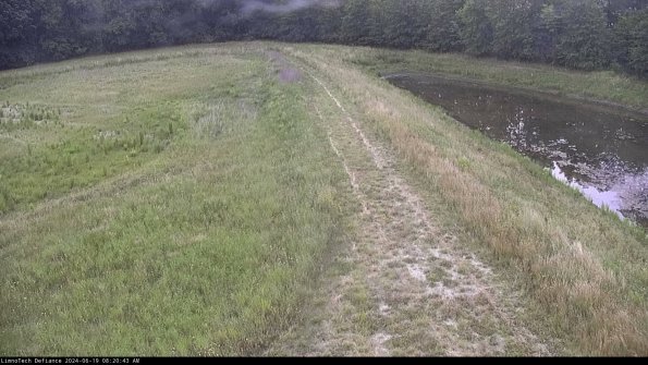 Cell 4 to Basin_24-06-19_08-20-44-37