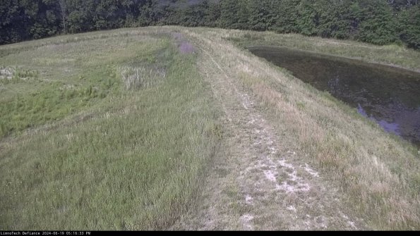 Cell 4 to Basin_24-06-19_17-16-34-35