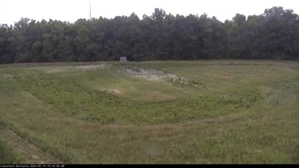 Cell 4_24-06-19_10-34-10-35