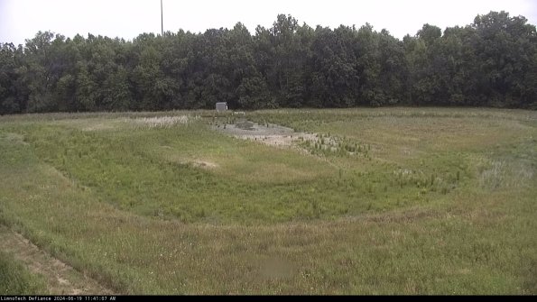 Cell 4_24-06-19_11-41-08-32