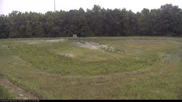 Cell 4_24-06-19_12-14-37-34