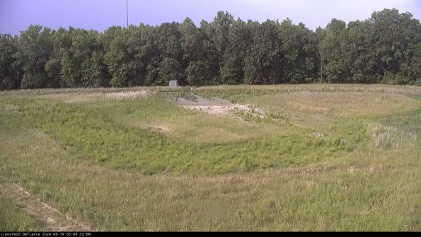 Cell 4_24-06-19_17-49-34-33