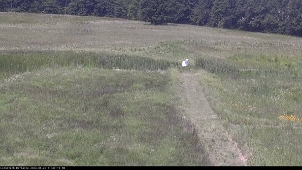 Cell 1 to 2_24-06-20_11-40-20-33