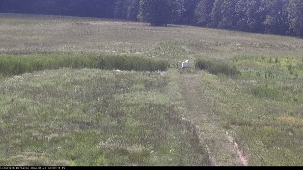 Cell 1 to 2_24-06-20_16-08-16-33