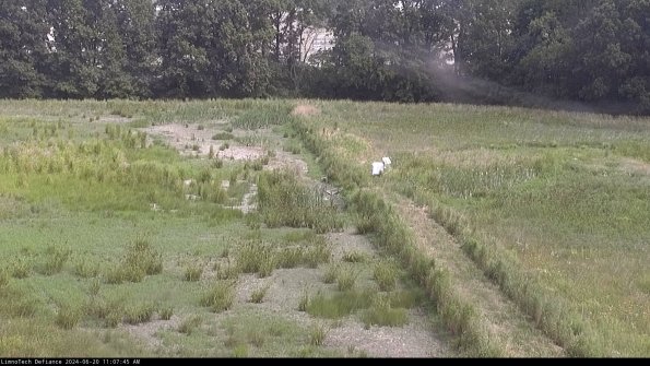 Cell 3 to 4_24-06-20_11-07-46-31