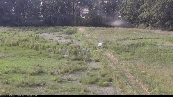 Cell 3 to 4_24-06-20_18-23-09-35