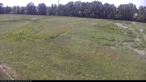 Cell 3_24-06-20_16-08-57-34