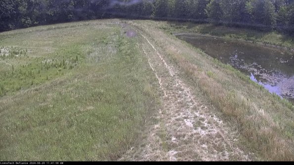 Cell 4 to Basin_24-06-20_11-41-59-33