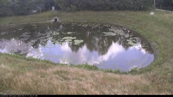 Basin Right_24-06-21_11-42-52-31