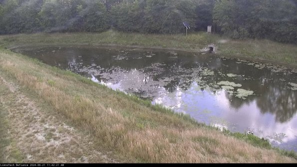 Basin_24-06-21_11-42-22-41